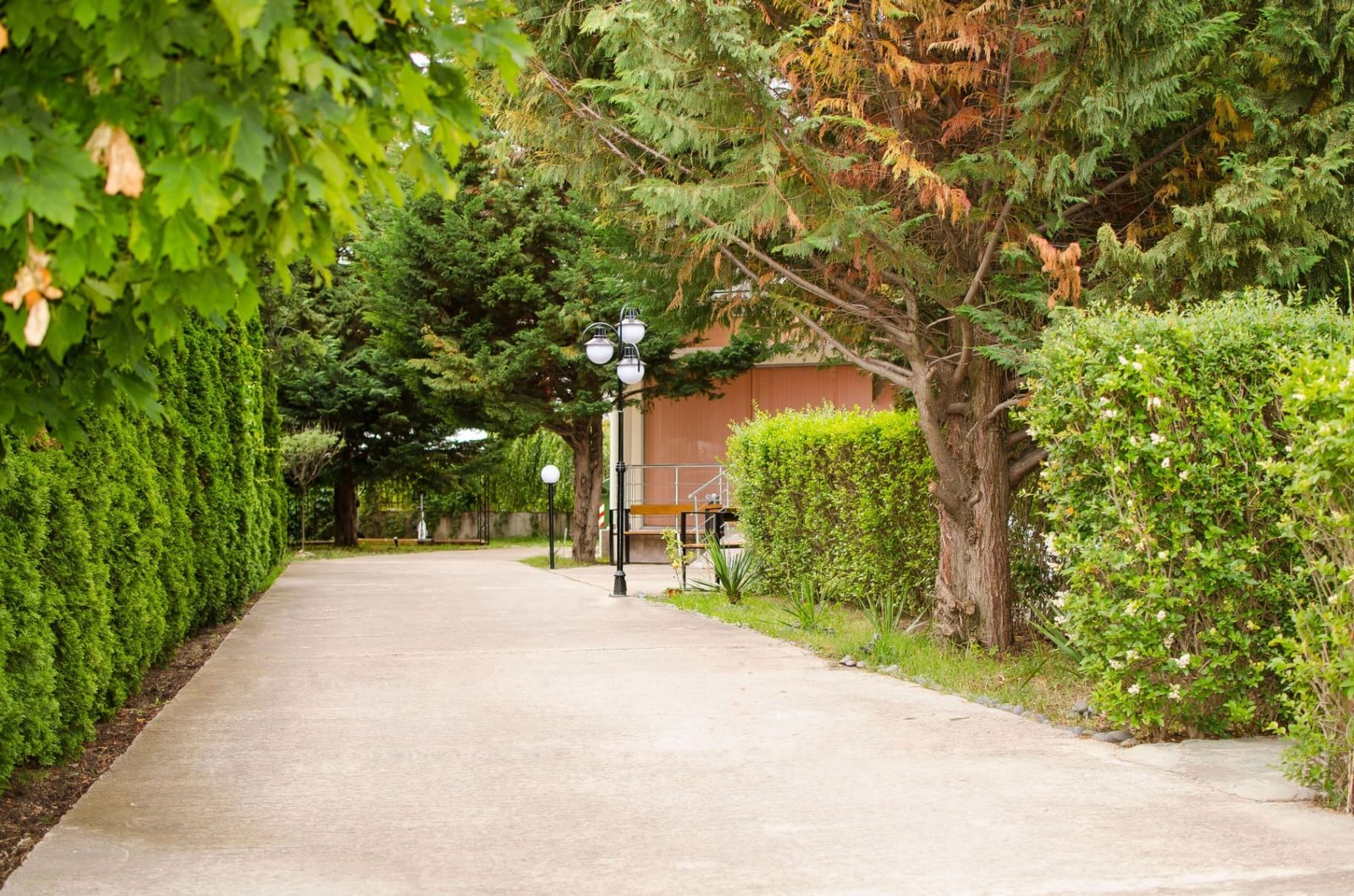 Алея в градината